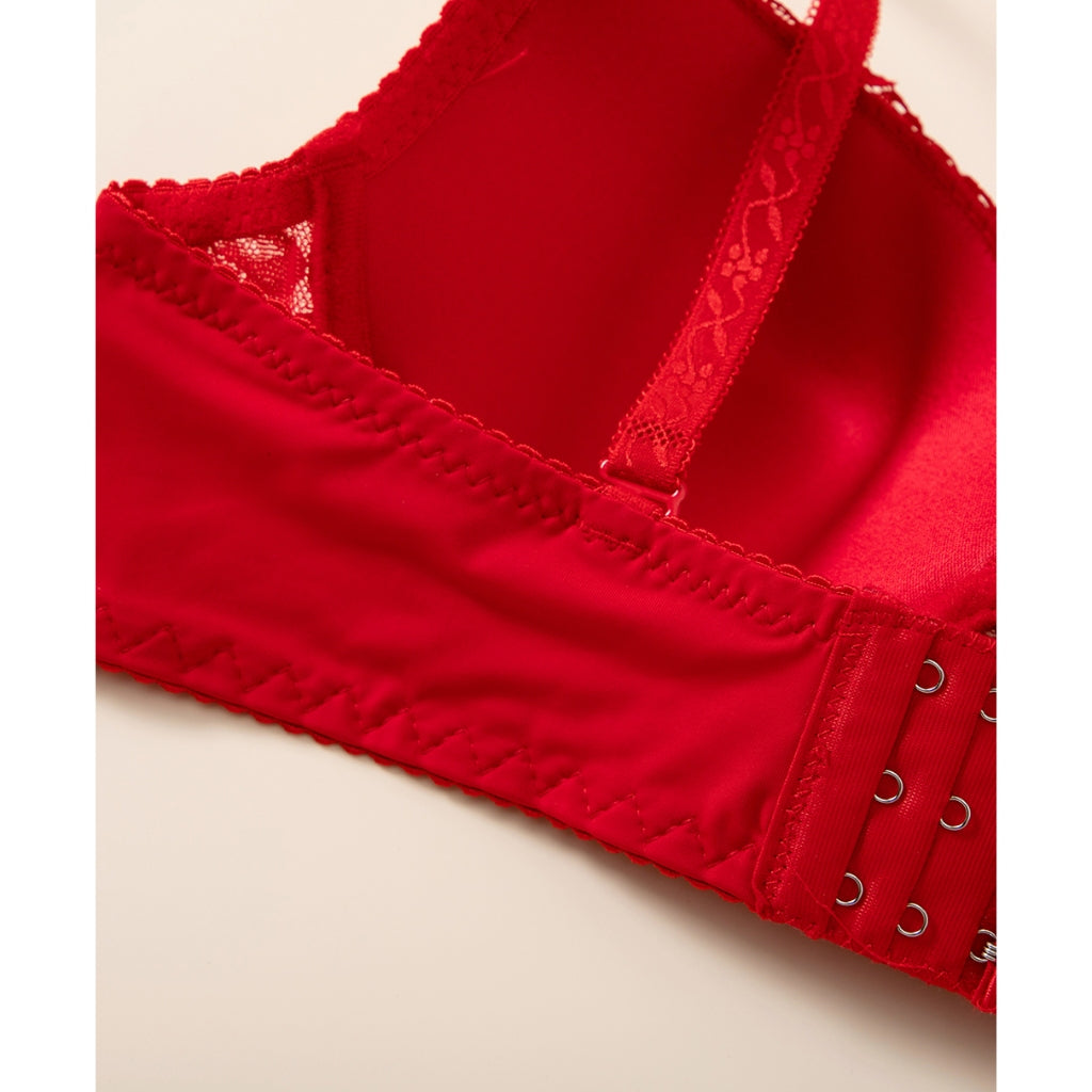 Felancy Lace Bra L03-01031