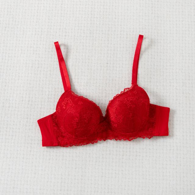 Felancy Lingerie Elegant Lace Bra L03-01027