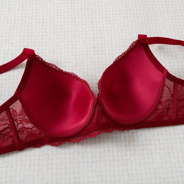 Felancy Comfort Lace Bra L03-01030