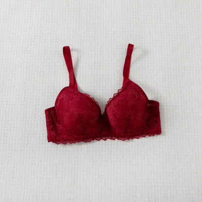 Felancy Lace Bra L03-01029